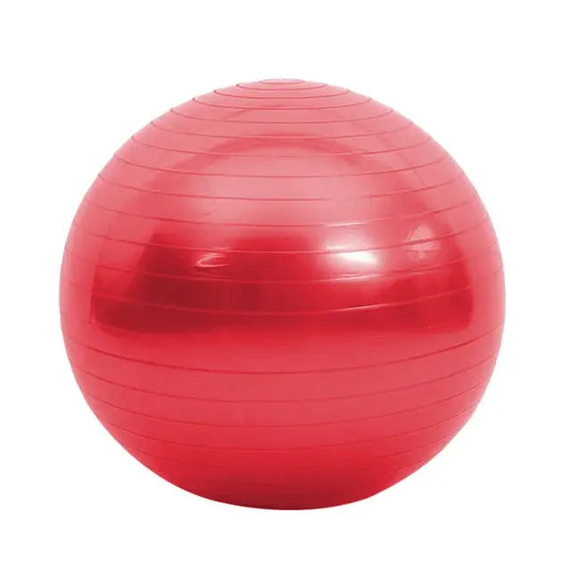 Sportstylez Balance Fit Ball