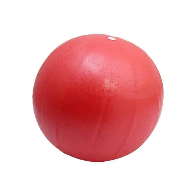 Sportstylez Balance Fit Ball