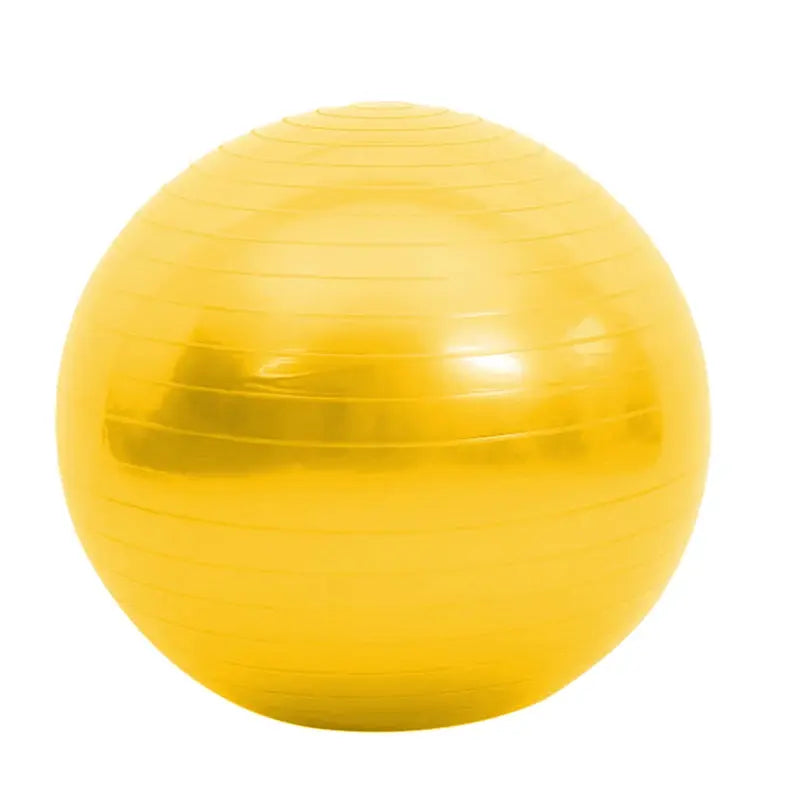 Sportstylez Balance Fit Ball