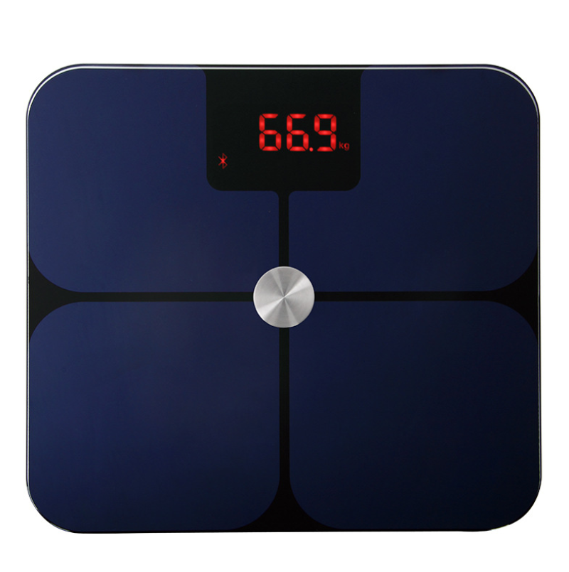 Electronic Scale For Human Weighing